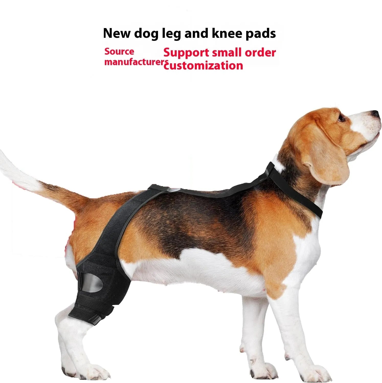 Adjustable neoprene dog hind leg knee brace assist strap in various colours