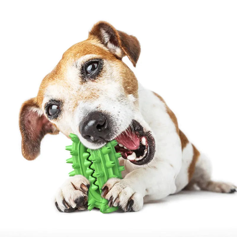 Green cactus-shaped rubber dog chew toy for dental care on a white background.