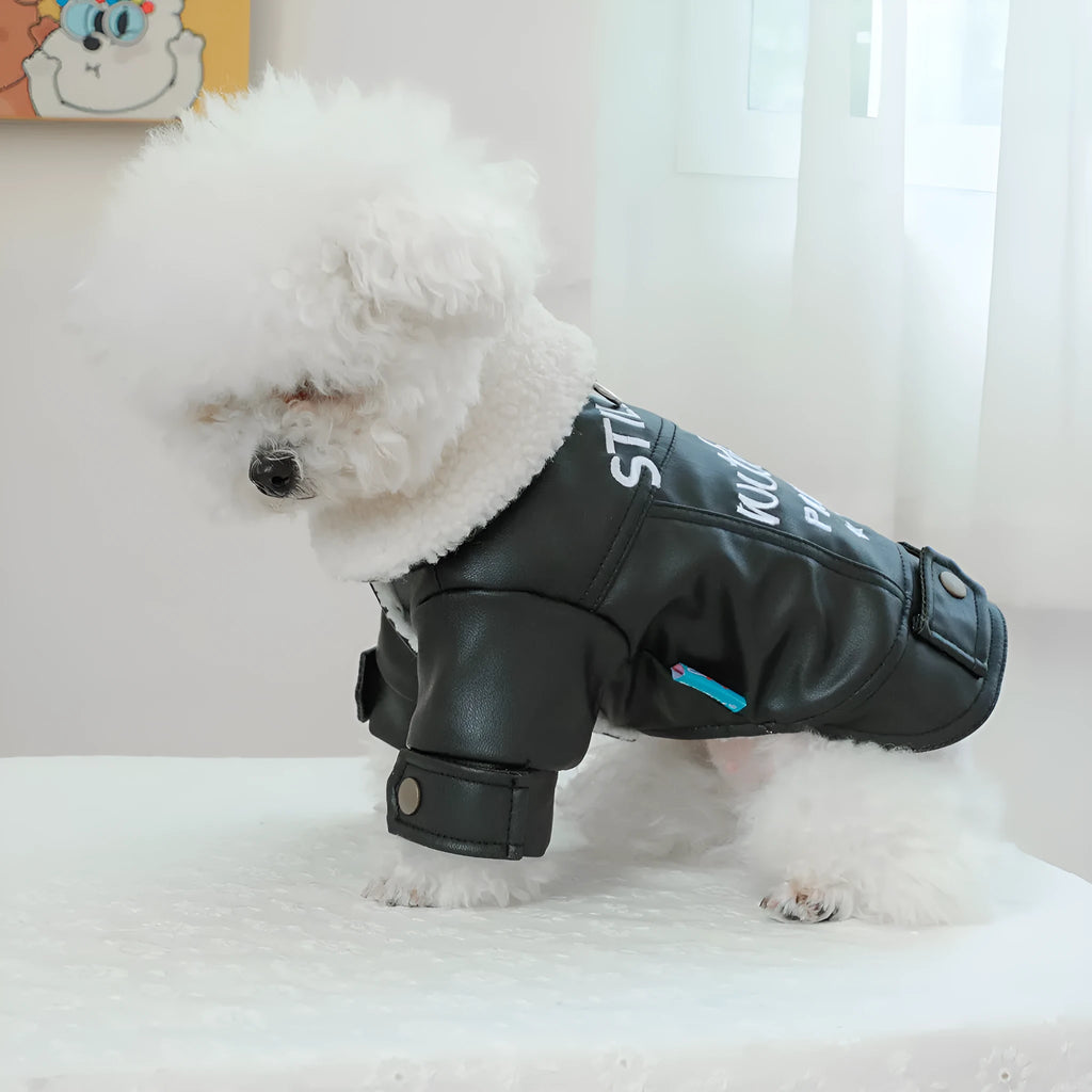 Beige fleece lined padded dog coat on a medium-sized dog, showing the fit and soft lining.