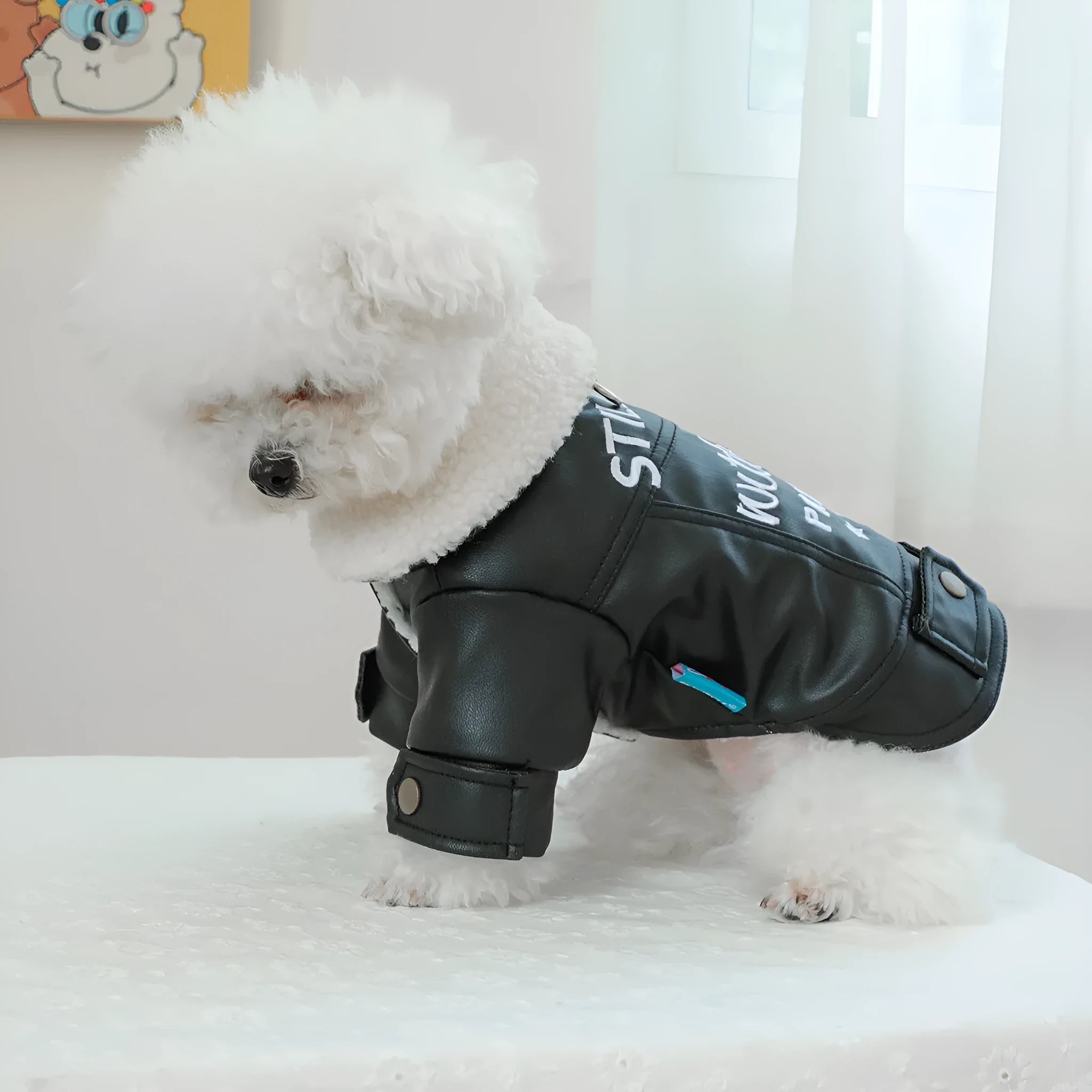Beige fleece lined padded dog coat on a medium-sized dog, showing the fit and soft lining.