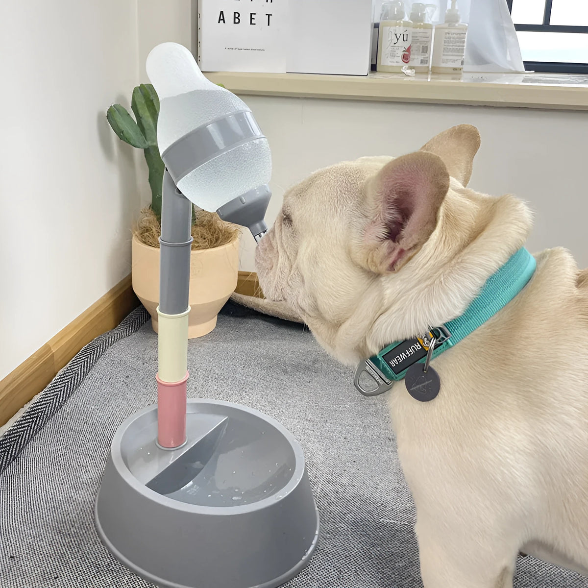 Adjustable automatic pet water dispenser in food-grade ABS resin with translucent bucket, 603g, for cats and dogs.