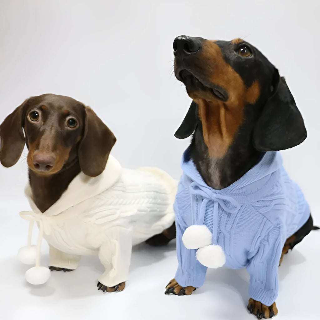 Autumn winter two-leg hooded sweater for dogs in beige colour showing hood and blended fabric