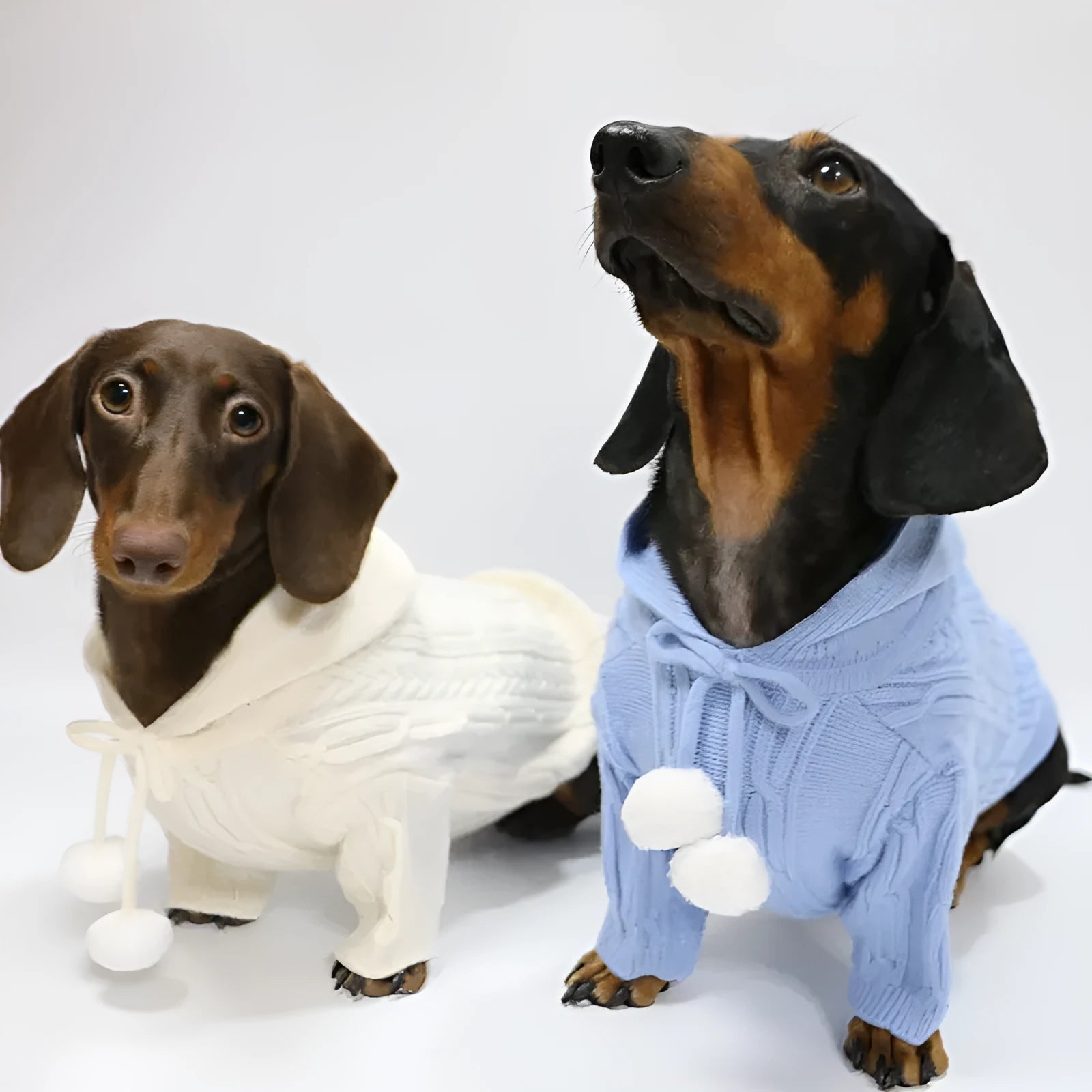 Autumn winter two-leg hooded sweater for dogs in beige colour showing hood and blended fabric