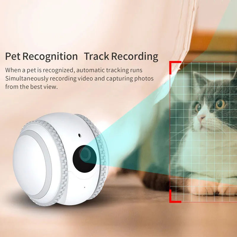 White plastic robot cat pet companion device with USB charging cable