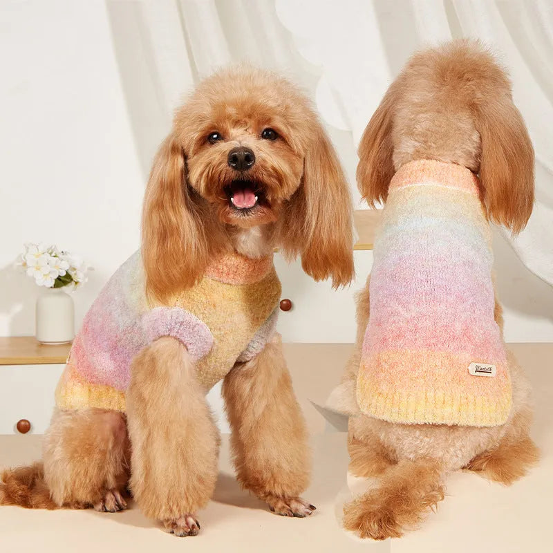 A soft rainbow circle patterned pet sweater in Dopamine style, shown on a mannequin, available in sizes S to XXL.