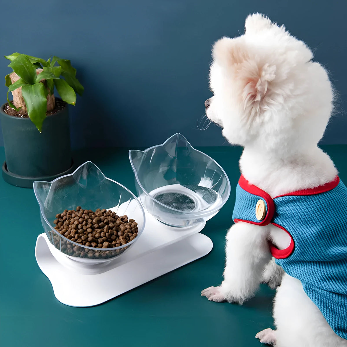Inclined transparent PC plastic cat food bowl with tilted oblique mouth and optional ABS base