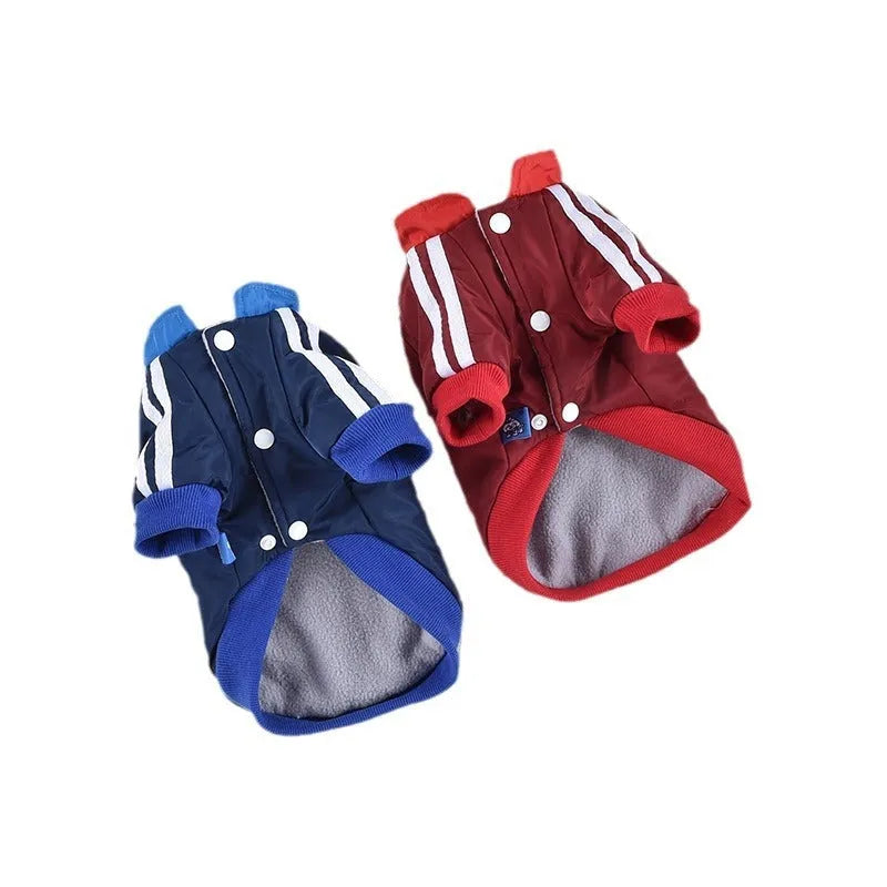 Red or blue dog coat with V-shaped splicing design on a mannequin, showing size range from XS to 3L.