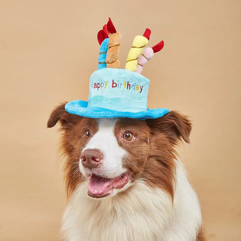 A blue or pink birthday hat for toy dogs on a white background.
