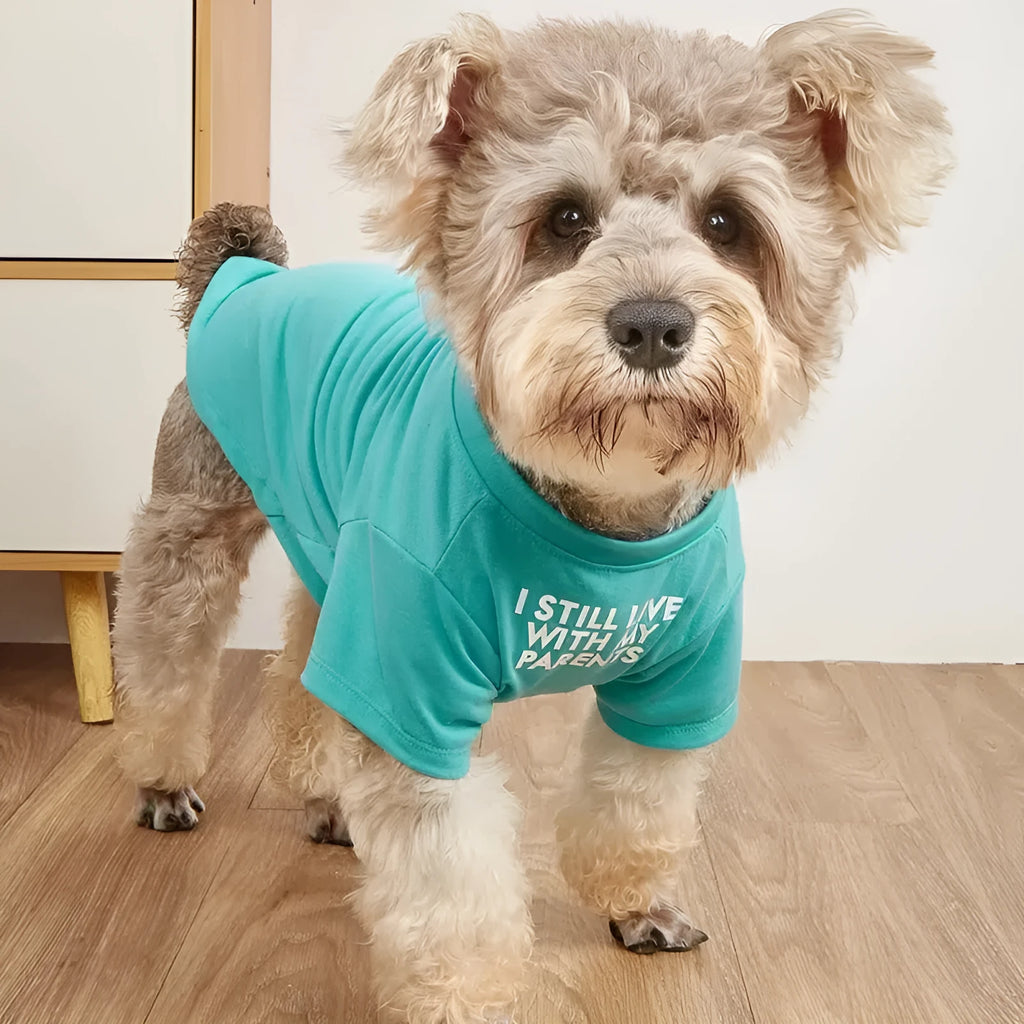 Pet clothes round neck T-shirt for dogs and cats made of breathable polyester in red, blue, black, and khaki