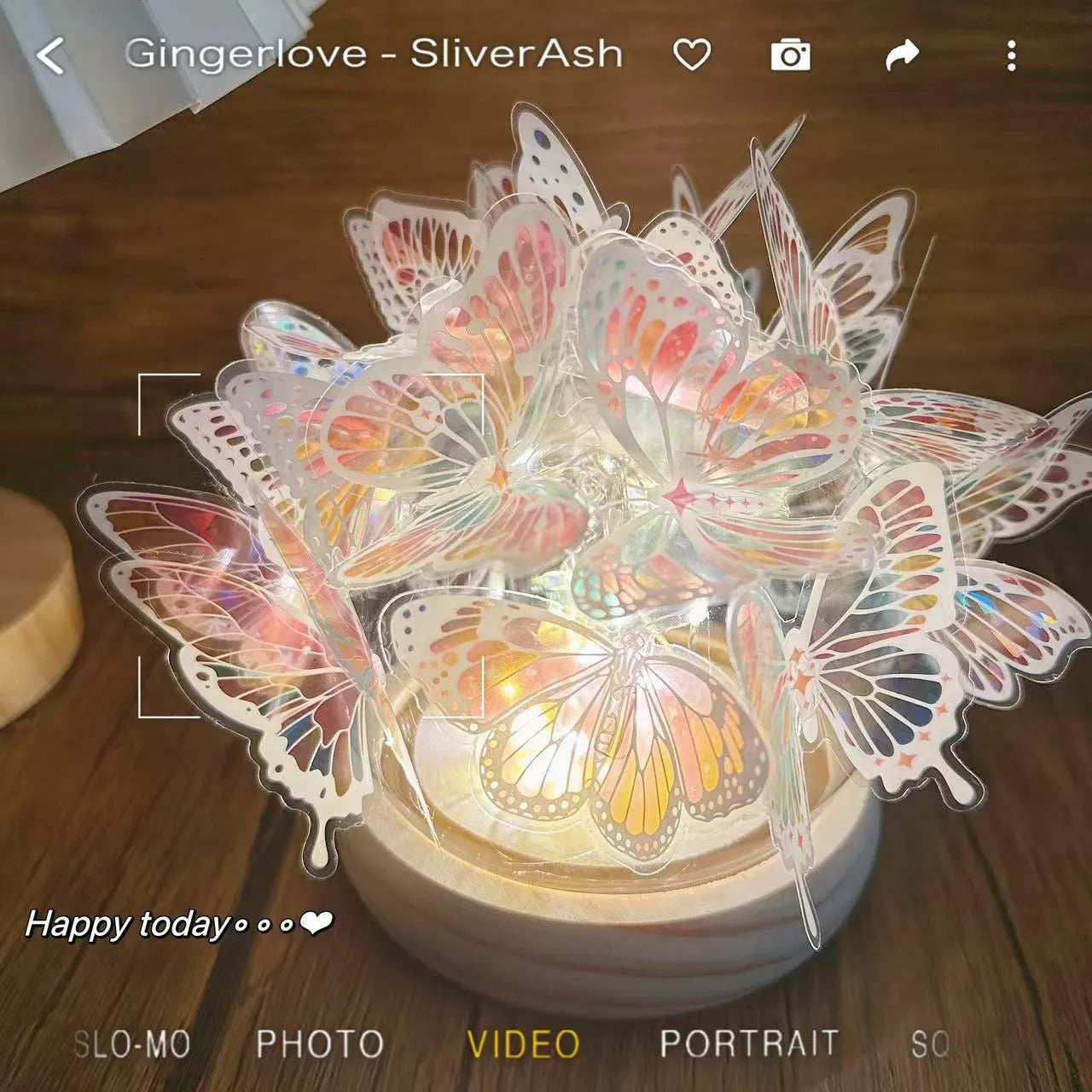 Butterfly night lamp with glass shade and natural wood base measuring 12x15cm