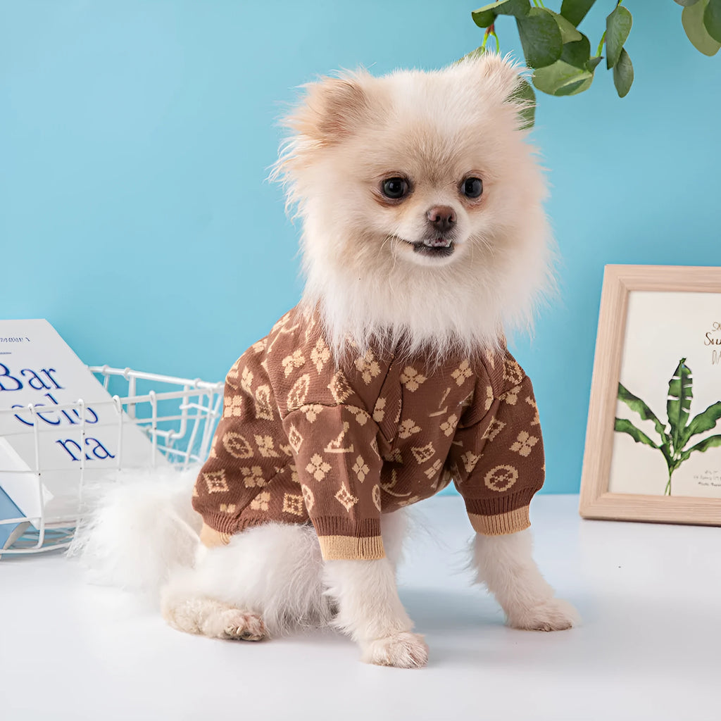 A dog wearing a thick, long-sleeve woollen sweater in a neutral colour.