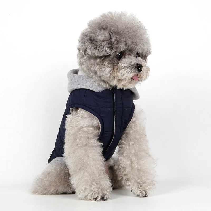 Cotton fleece windproof dog jacket in blue, green, wine red, sizes M to 3XL