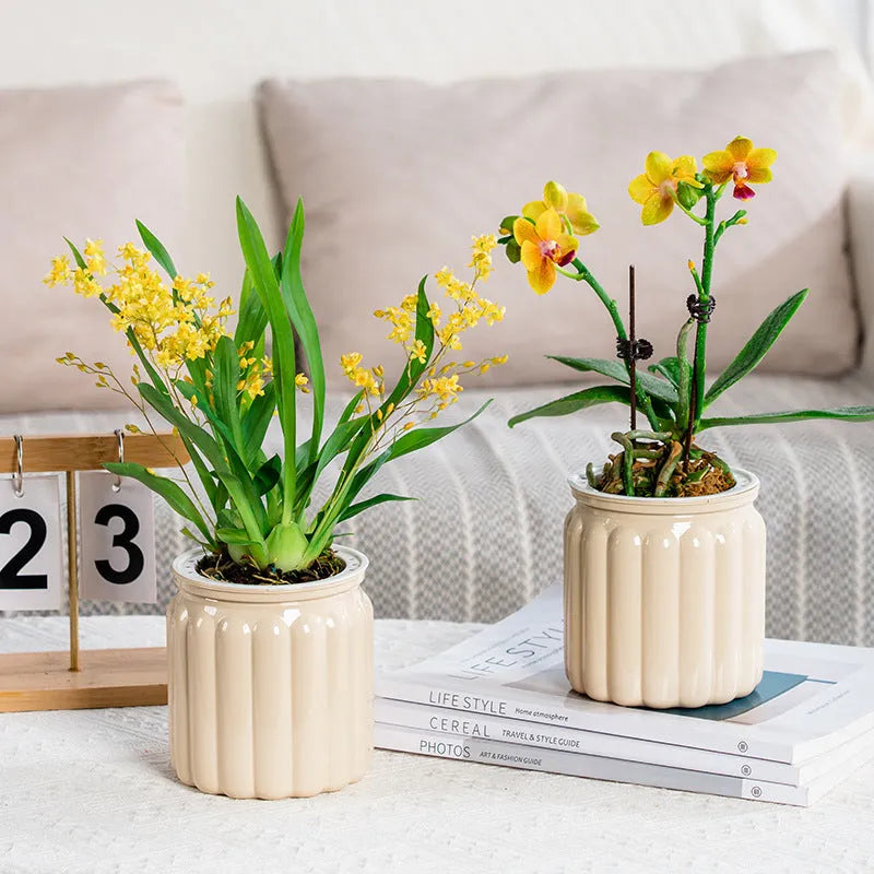 Self-absorbent hydroponic flowerpot transparent plastic resin small green plant pot vertical stripe