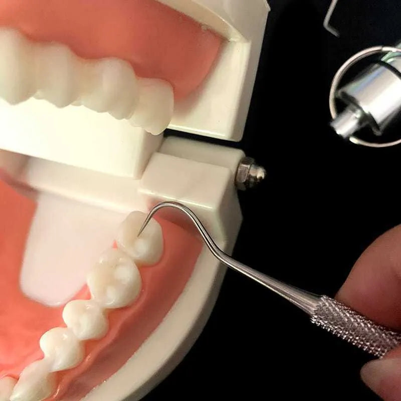 304 stainless steel toothpick set with 3 short and 3 long metal toothpicks plus 7 dental floss sticks in a cylinder