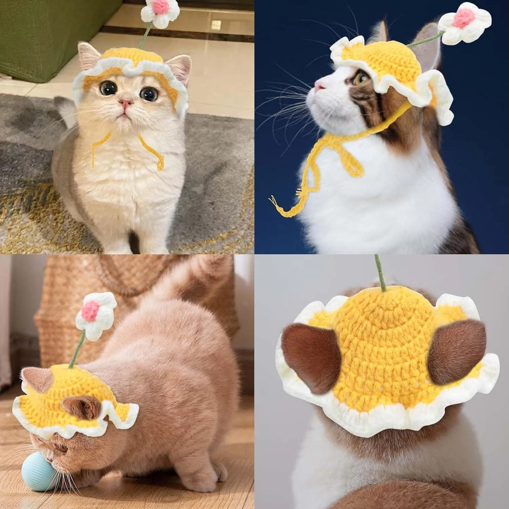 Knitted cartoon design pet hat for cat or small dog in green colour