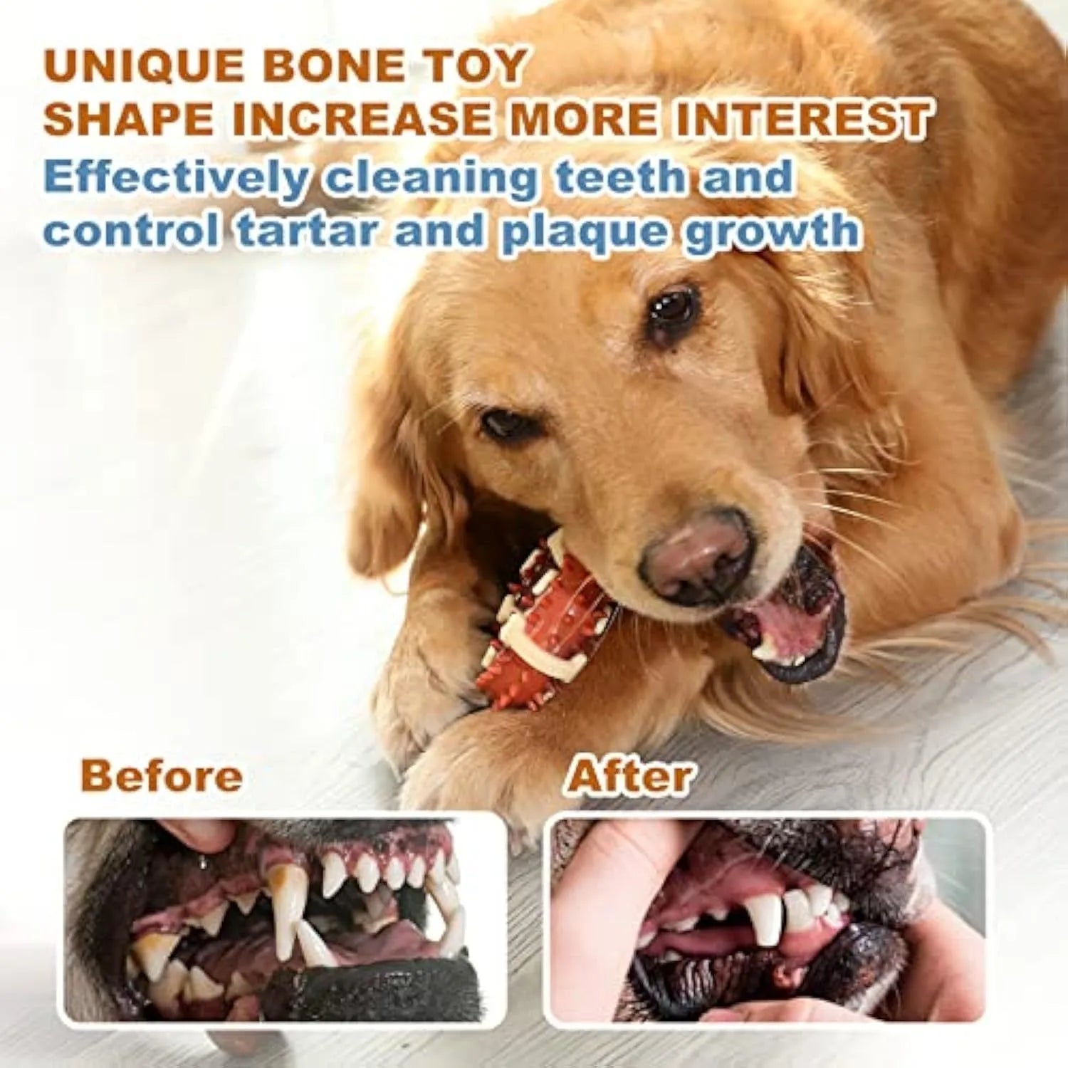 Bone-shaped natural rubber dog molar chew toy in two sizes for teeth grinding and anxiety relief.