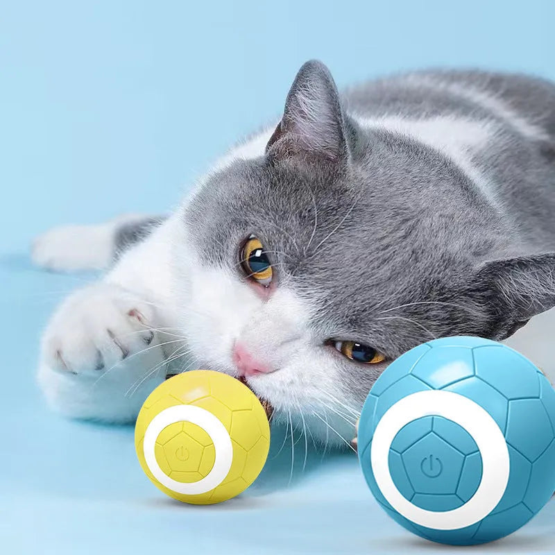 Gravity funny cat electric pet toy ball in rubber, single pack, shown in upgraded pink, yellow or blue