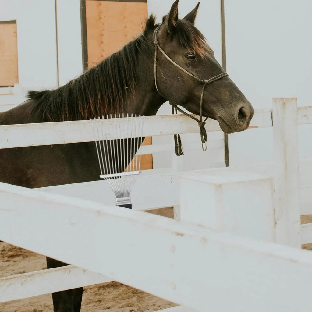 Black stainless steel dematting brush for grooming horses, dogs, and cattle.