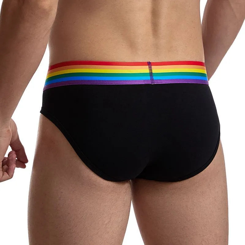 Low waist nylon briefs for men, pure colour solid black, transparent fabric, size L