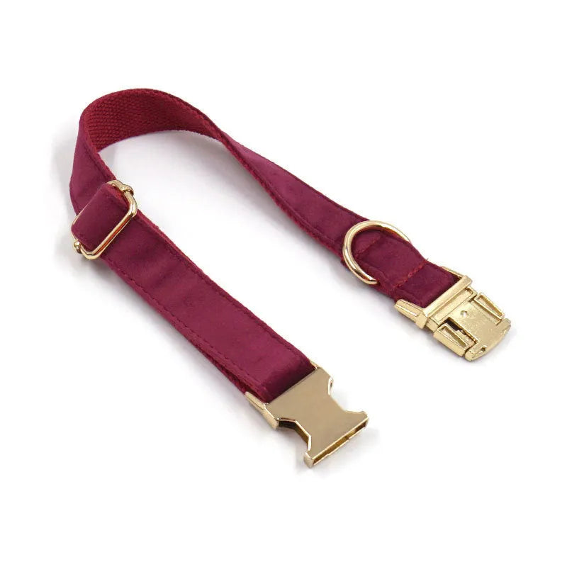 Burgundy velvet pet collar with bow tie and gold engraved clasp, available in sizes XS to XL