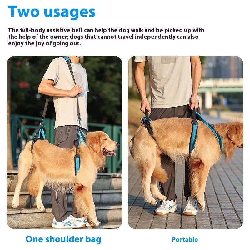Blue polyester dog auxiliary strap hand held rope for walking training pet supplies