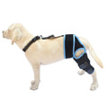 Adjustable neoprene dog hind leg knee brace assist strap in various colours