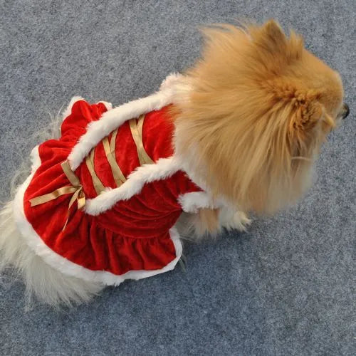 Red velvet pet skirt for female dogs, size XS to L, Christmas New Year outfit