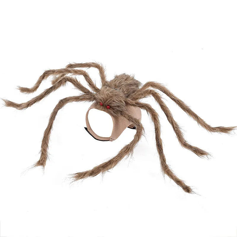 Grey big spider Halloween costume on a small dog, showing the full costume fit.