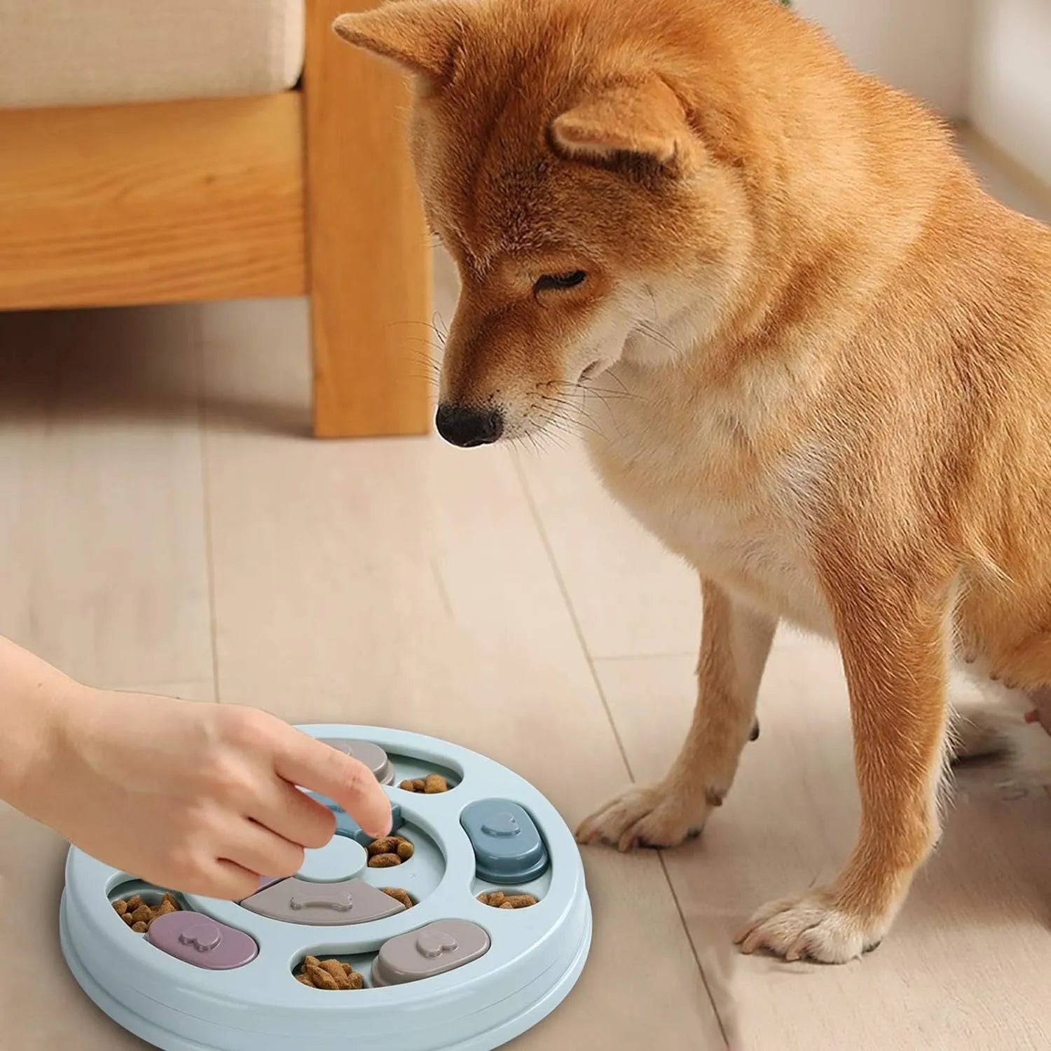 Dog puzzle feeder toy with sliding parts in blue, 28.5cm, for slow feeding and IQ training
