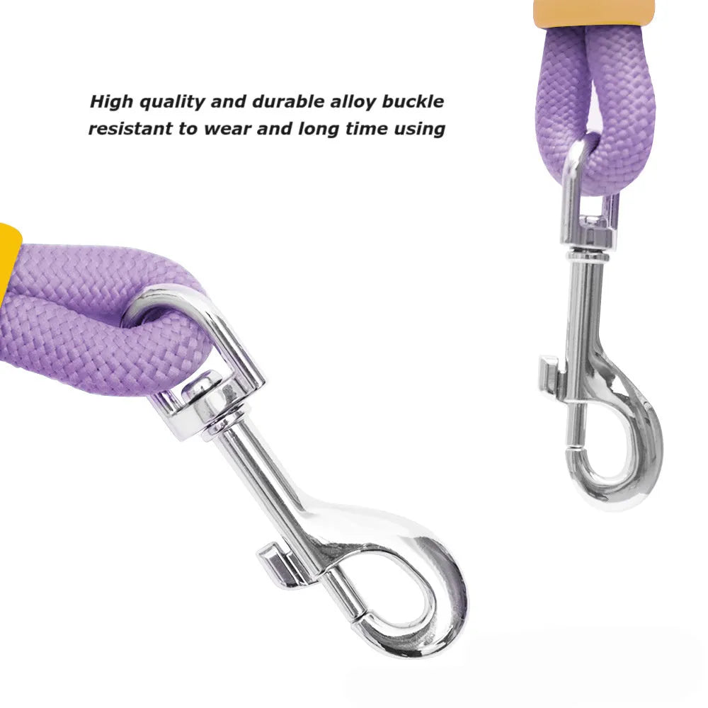 Nylon dog traction leash with foam handle showing colour options