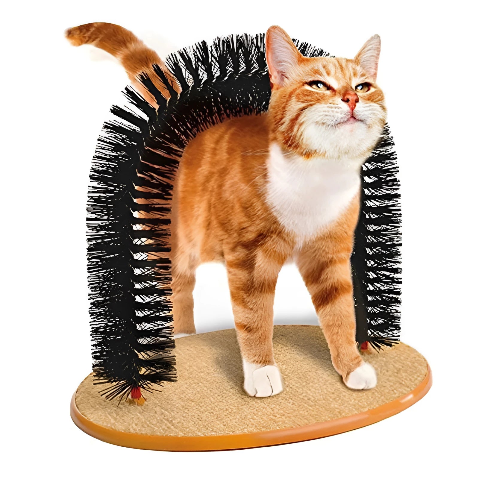 White plastic arched cat scratcher with integrated grooming brush bristles along the inner curve.