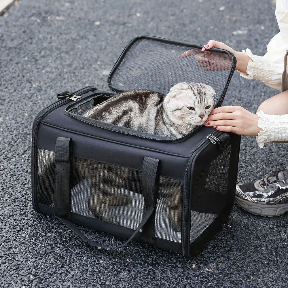 Universal Oxford fabric pet bag for dogs and cats, shown in grey with blue edge colour option