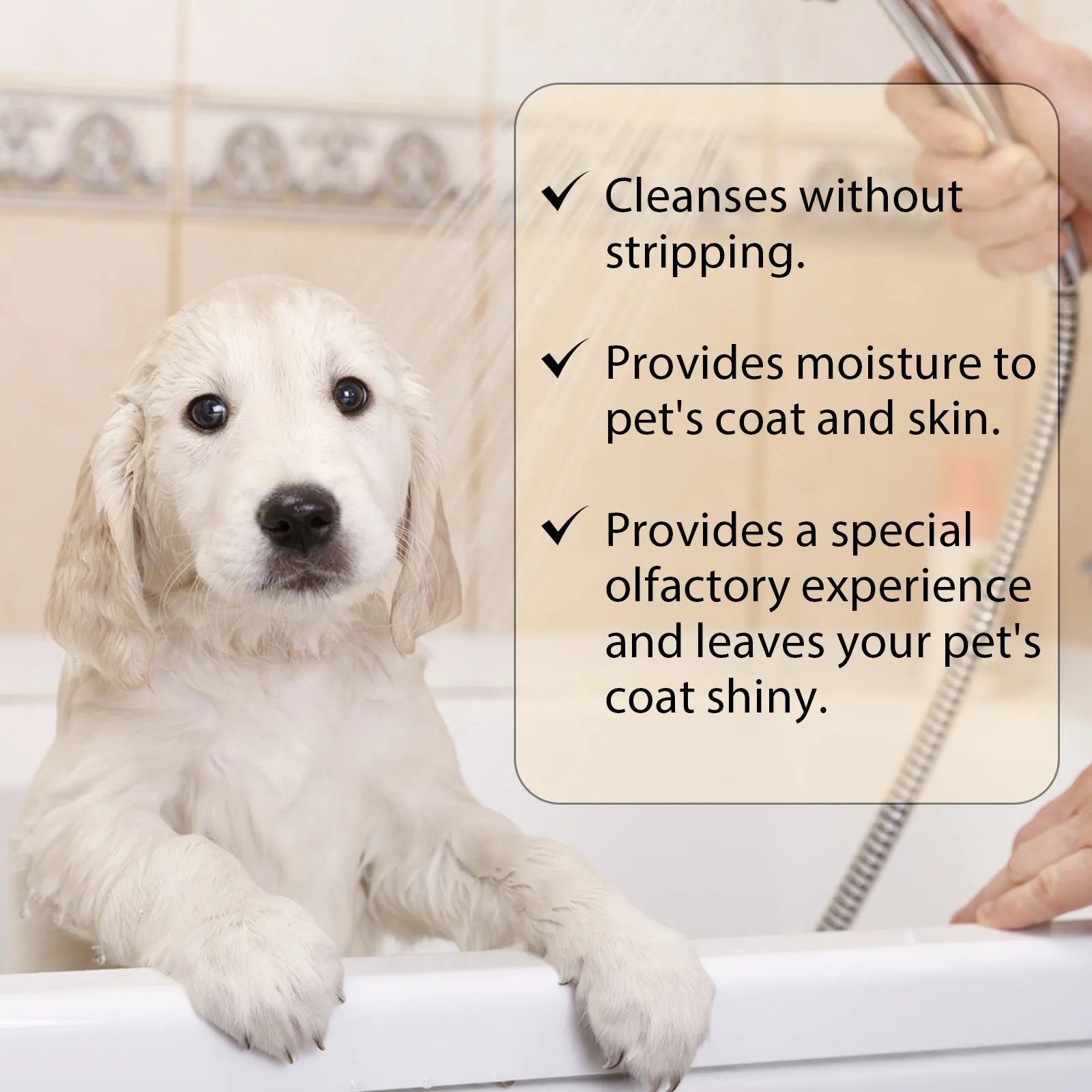 Mild and Clean pet shampoo bottle for dogs in 100ml and 300ml sizes