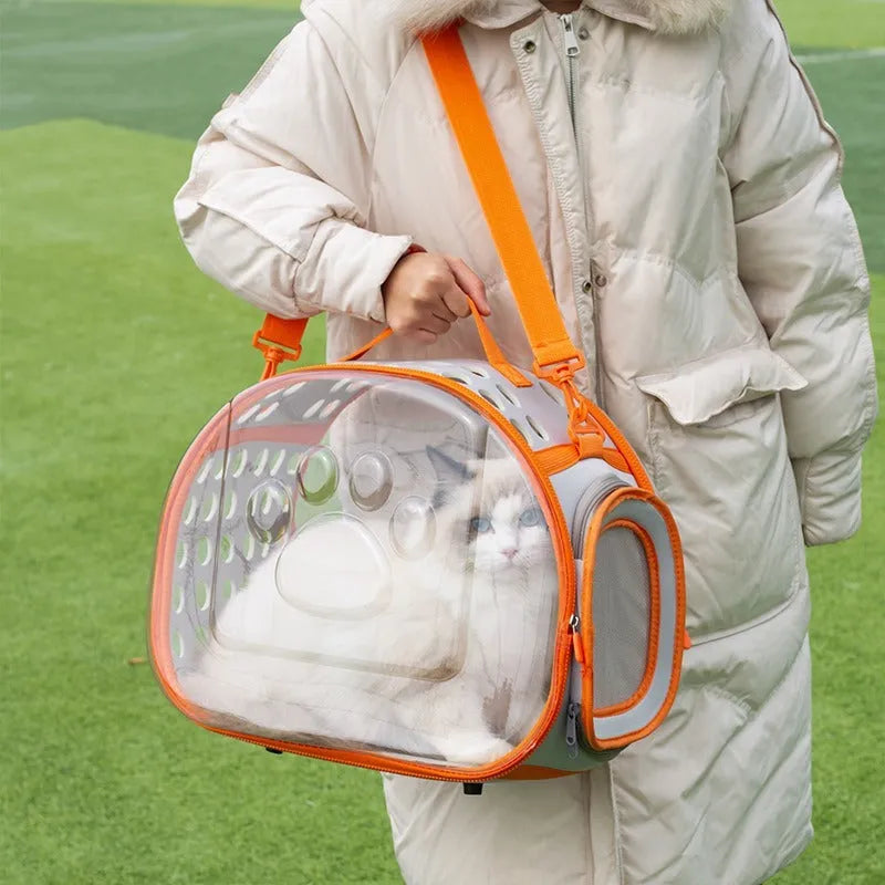 Transparent hard-shell cat backpack in grass green colour with shoulder straps, showing interior space dimensions