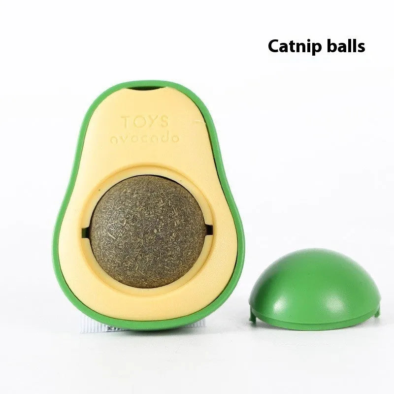 Plastic catnip ball toy for dental care in various colours with textured chewing surface
