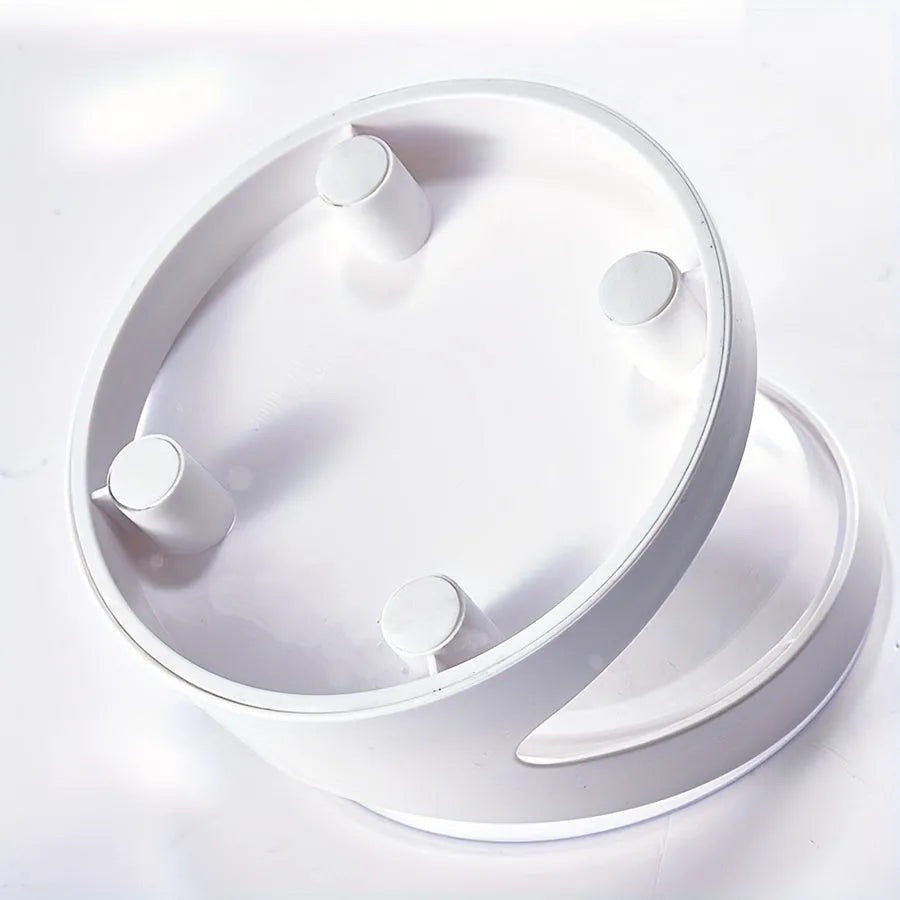 White elevated cat food bowl with ergonomic tilt design for neck protection