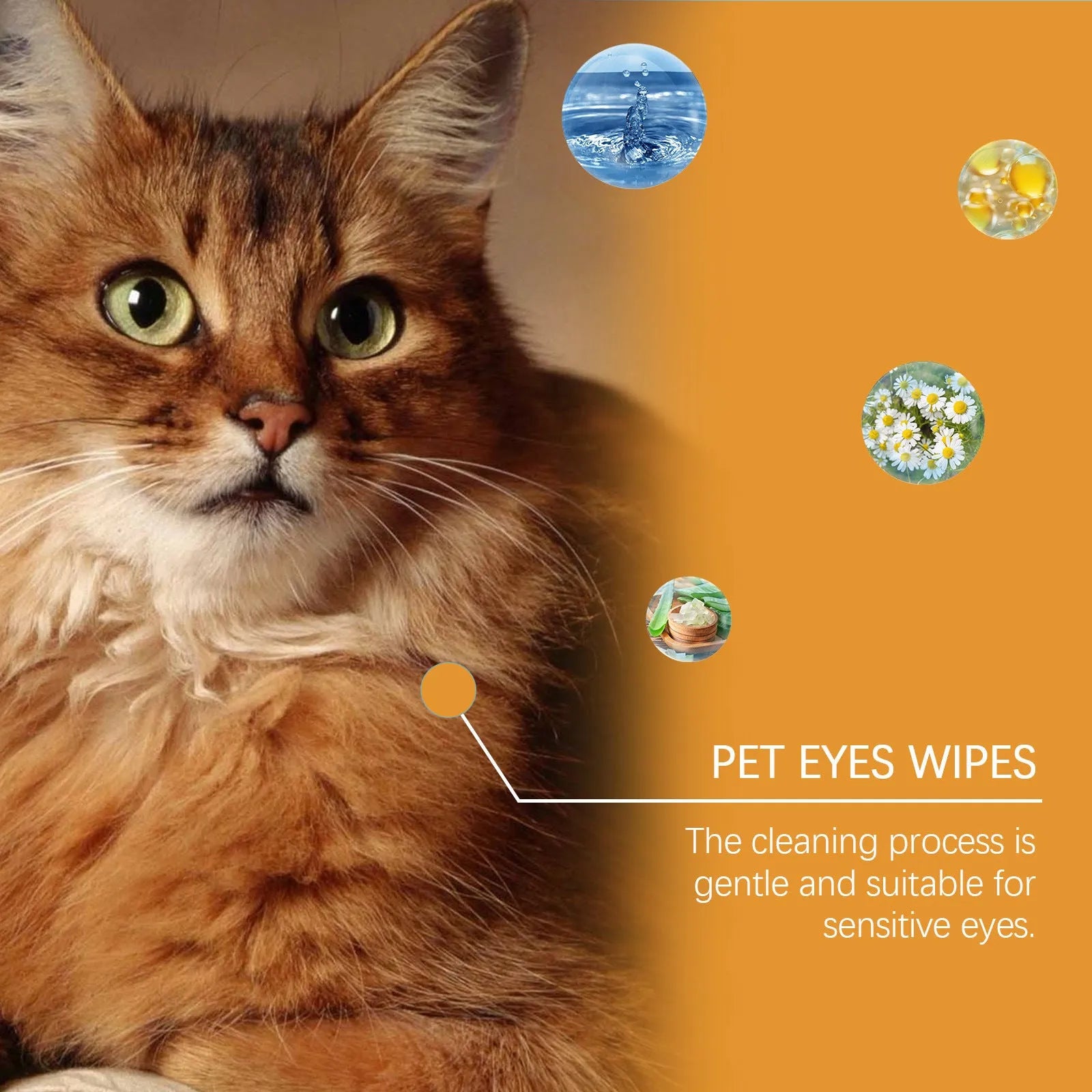 Box of Dogs And Cats Eyes Wet Wipes for tear stain removal, 60 pieces, for dogs and cats