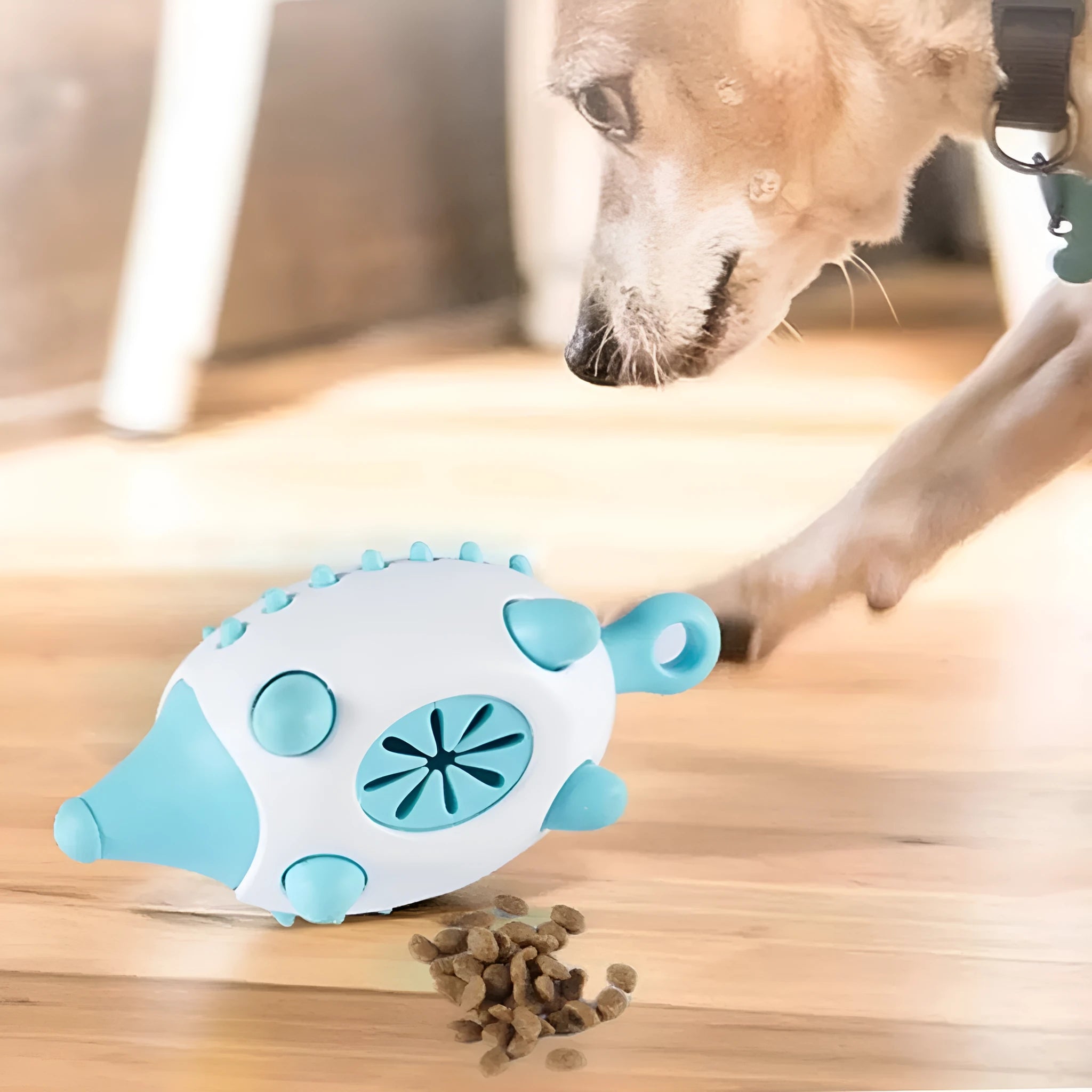 Dog toy treat dispensing squeaky ball in blue green and pink colours