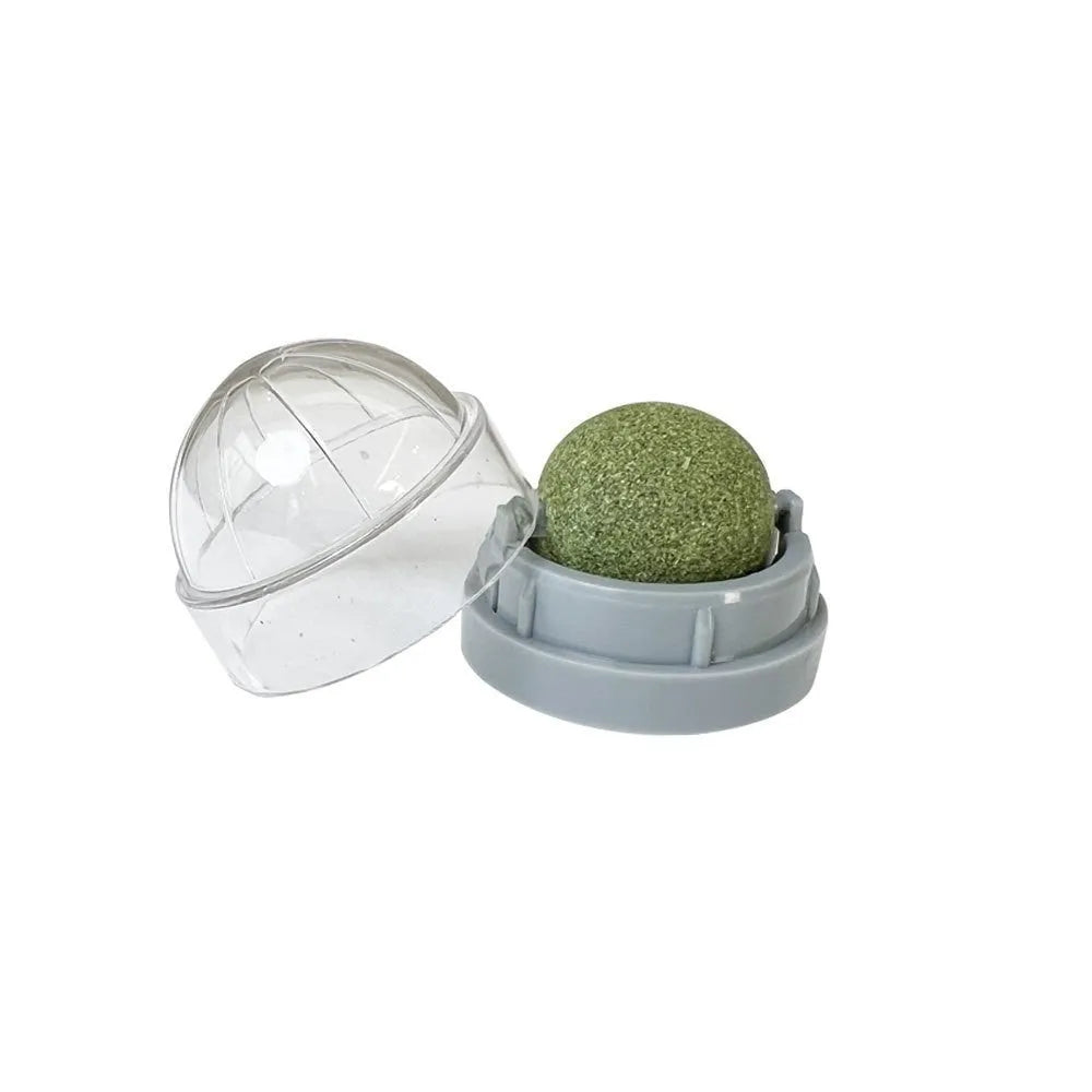 Plastic catnip ball toy for dental care in various colours with textured chewing surface