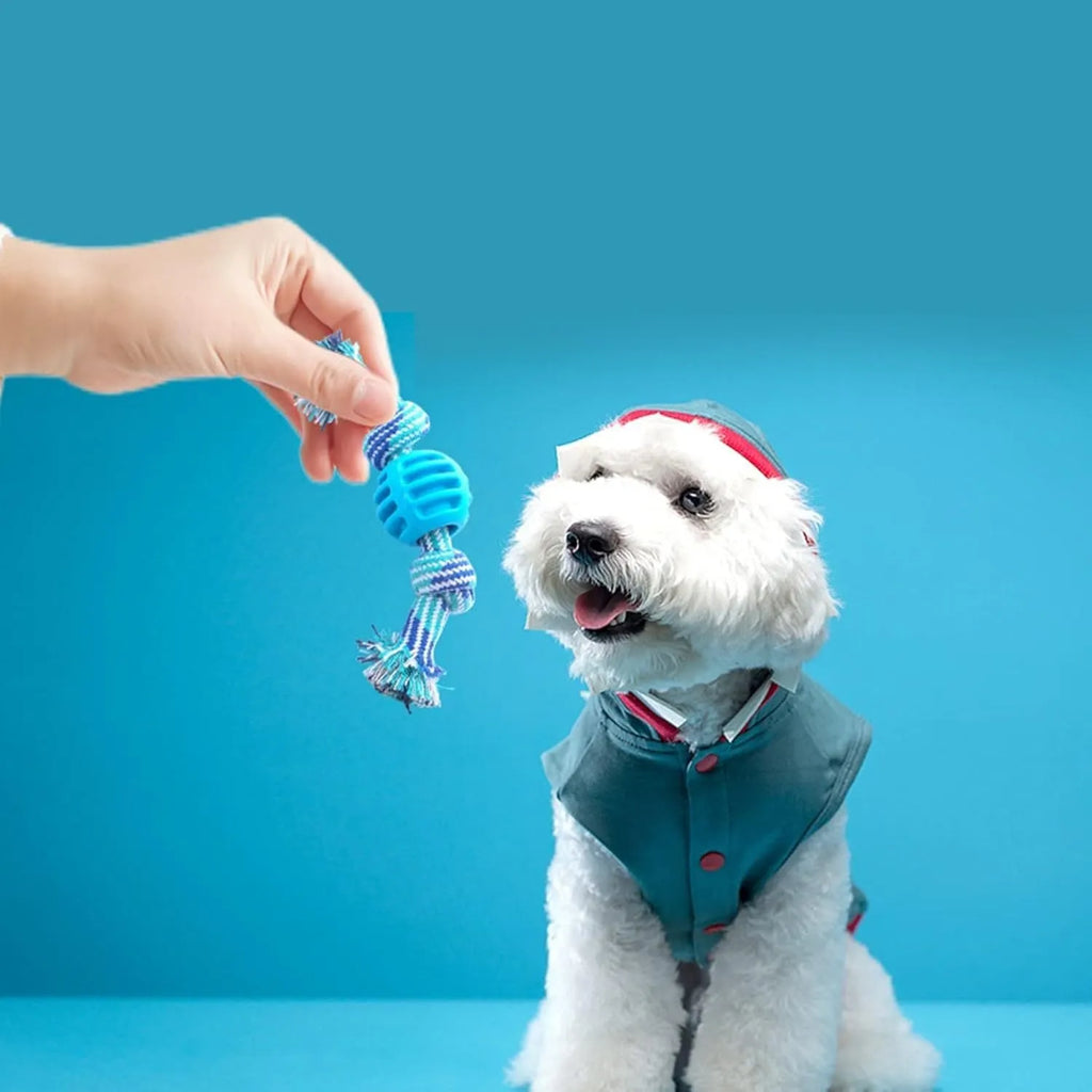 Blue dog chew toy with rope texture for cleaning teeth and protecting oral health.