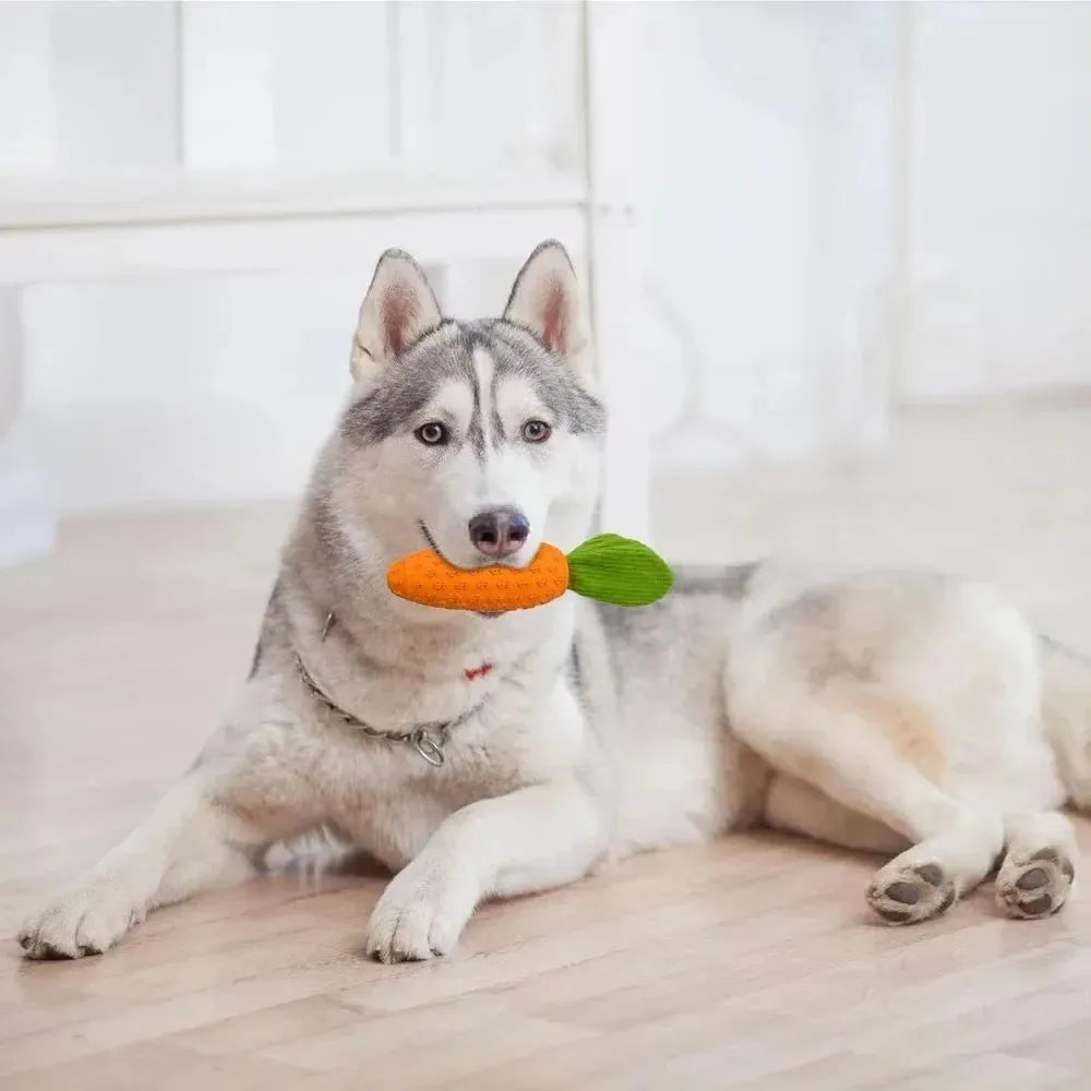 Orange carrot-shaped rubber and plush dog chew toy with squeaker, 21x5x5cm, on a solid background.
