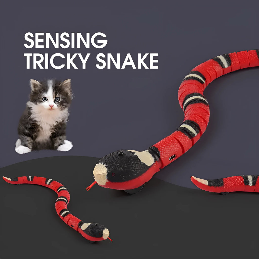 USB rechargeable automatic electronic snake toy for cats with segmented plastic body.