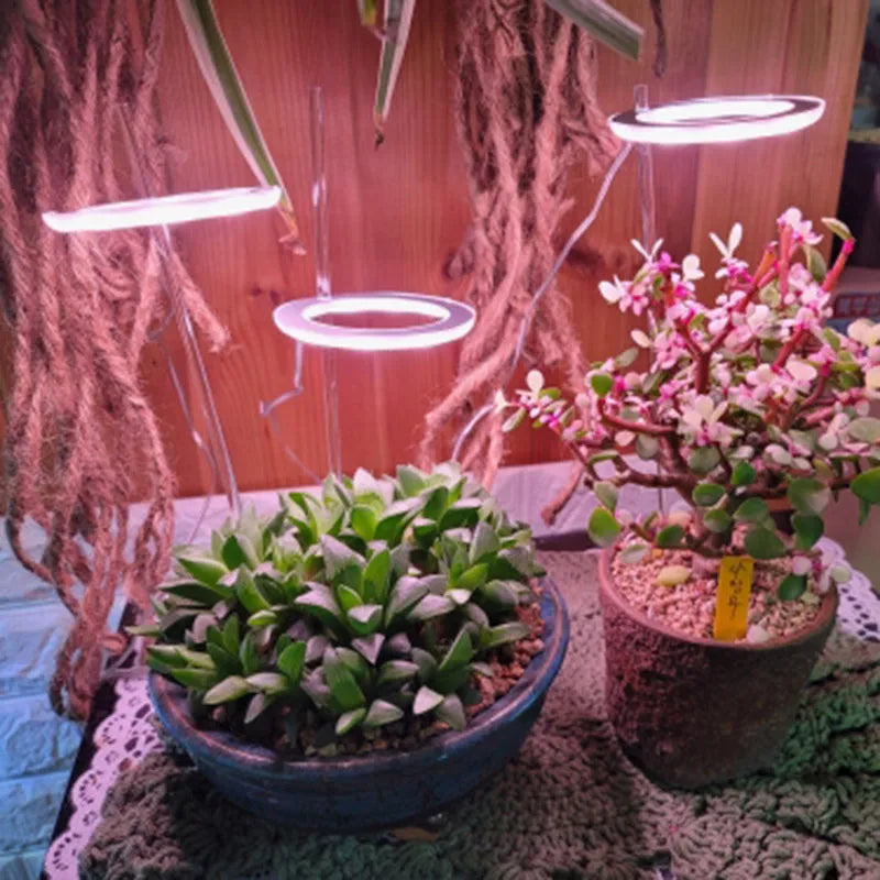 Small circular USB LED angel ring grow light for indoor plants on a desk.