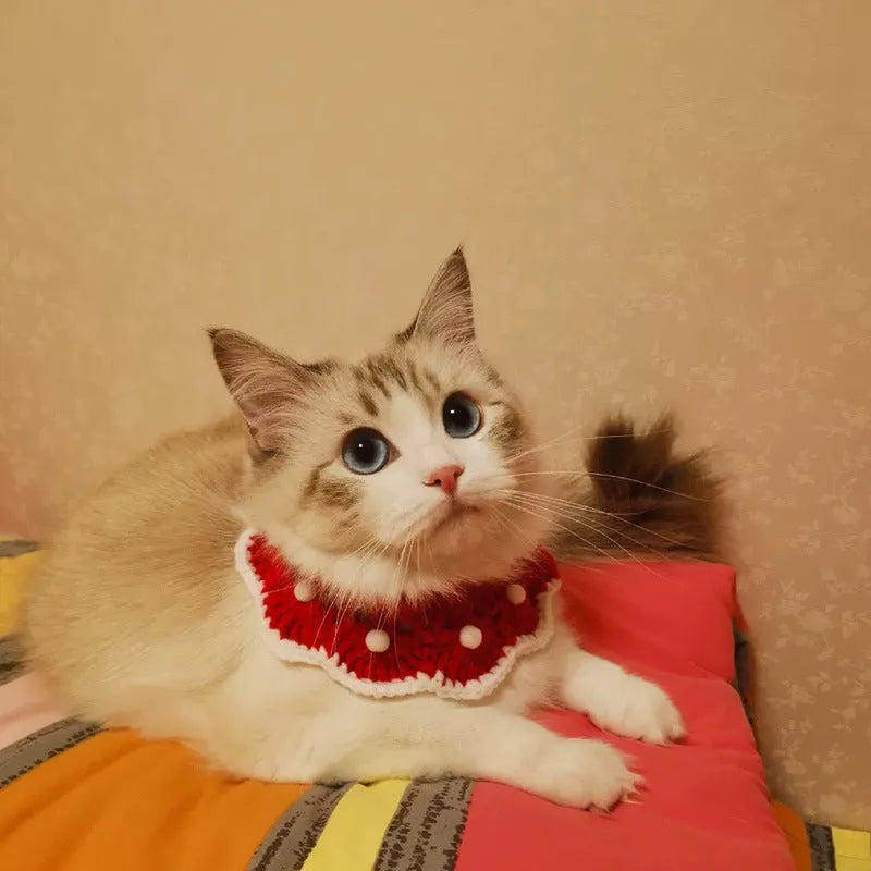 Cartoon pattern wool knitted collar for small pets in milk cotton, shown in multiple sizes.