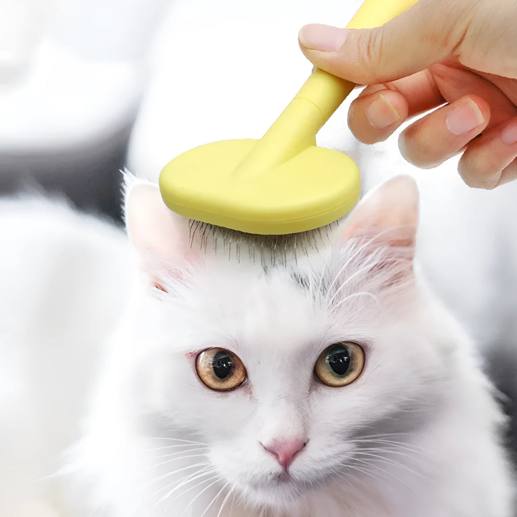 Pet cat and dog hair brush set with plastic handle and metal needles in yellow, green, and purple colours