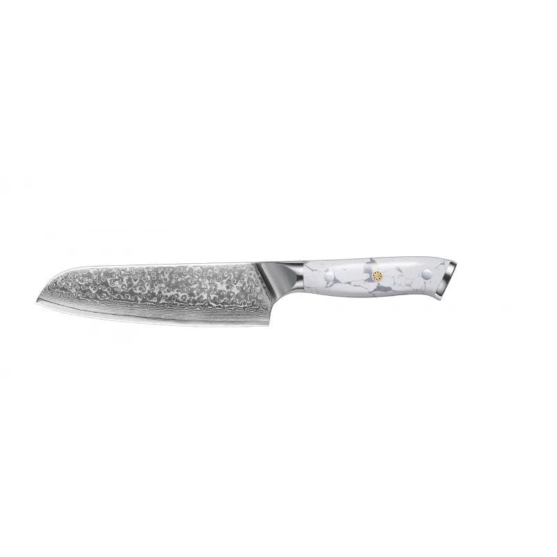 Damascus combined chef knife with 21cm VG10 steel blade and 11cm handle for kitchen use