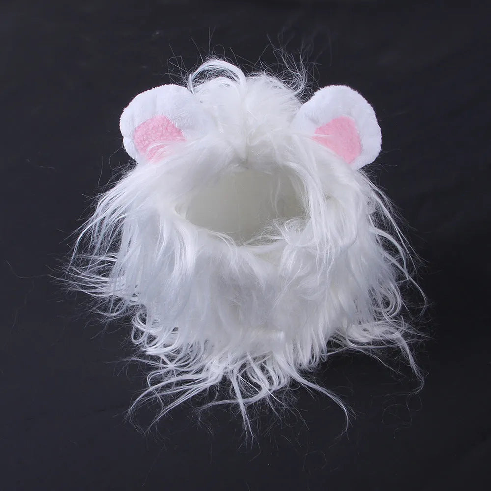 Cat wearing lion headgear wig hat costume in black colour