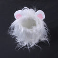 Cat wearing lion headgear wig hat costume in black colour