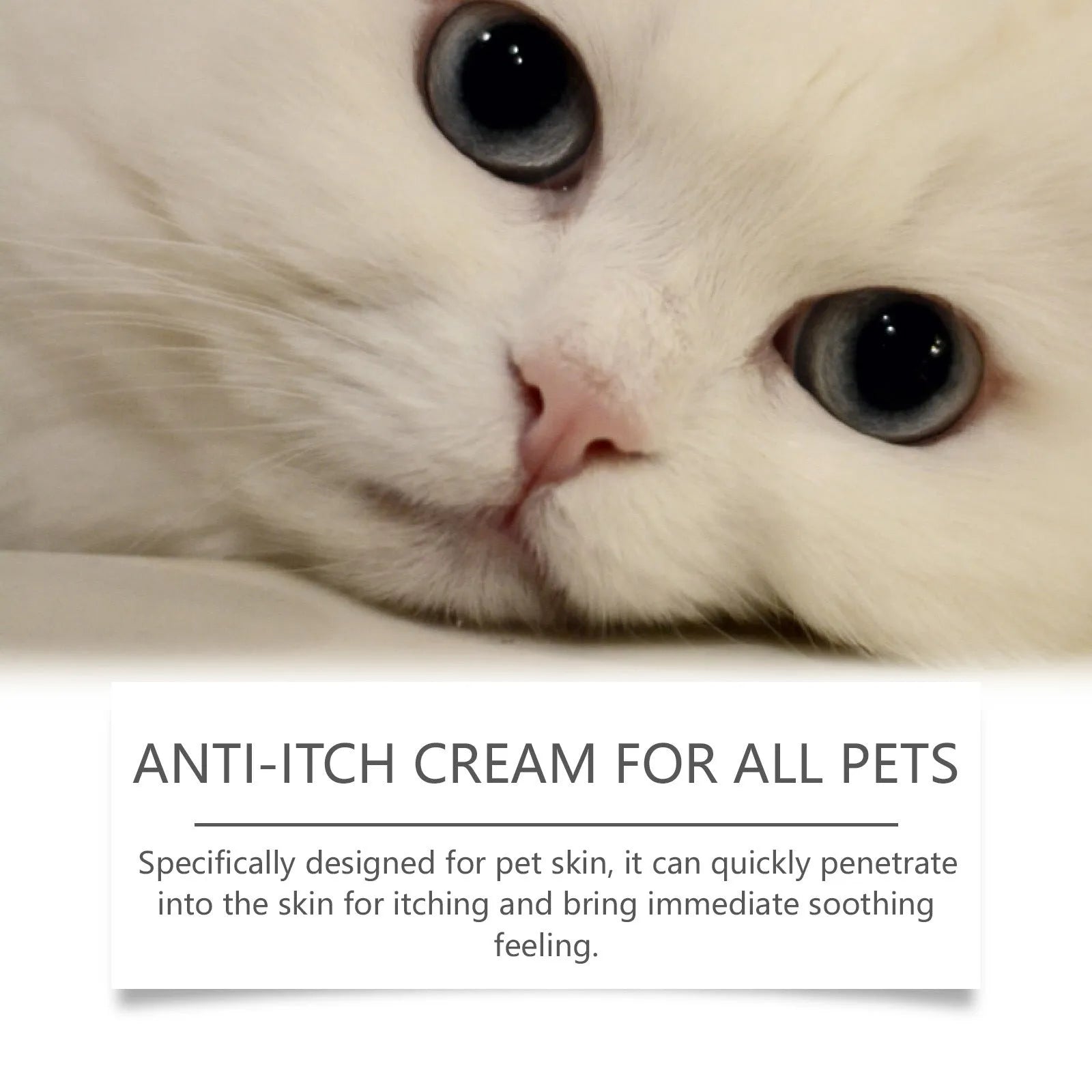 A 60g tube of antipruritic cream for cats on a white background, showing the 5.5cm diameter.
