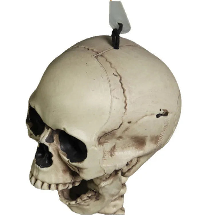 Full-sized 170 cm tall plastic skeleton prop with detailed skull on a stand.